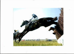 Racing Girth Sleeve