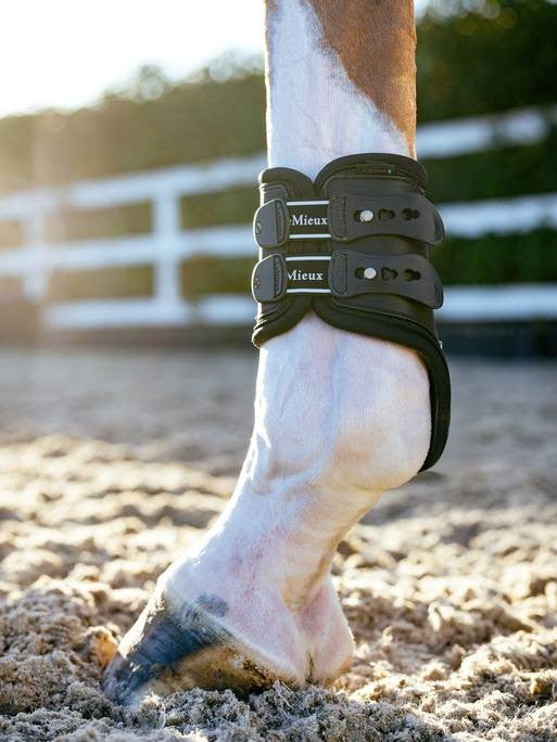 LeMieux Exo Flex Fetlock Boot