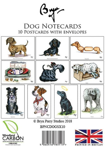 Animal Notecards