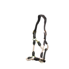 Anatomic Leather Headcollar