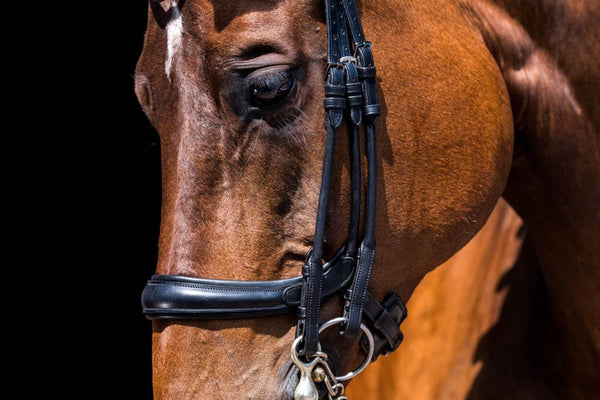 PS of Sweden Paragon Double Bridle