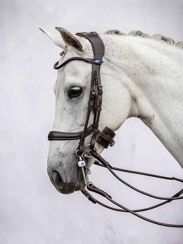 PS of Sweden Paragon Double Bridle