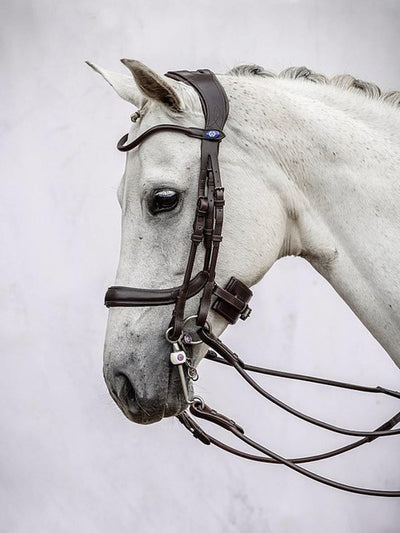 PS of Sweden Paragon Double Bridle