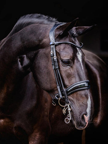 PS of Sweden Passage Lacquered Double Bridle