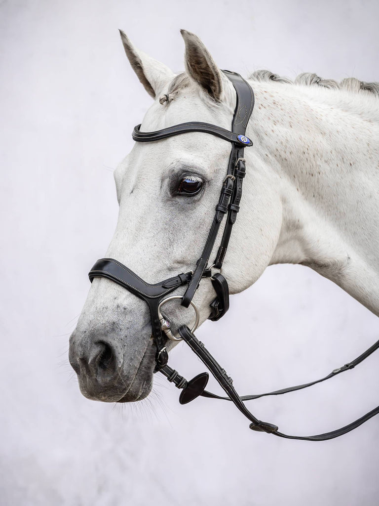 PS of Sweden Pioneer Bridle
