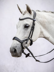 PS of Sweden Pioneer Bridle