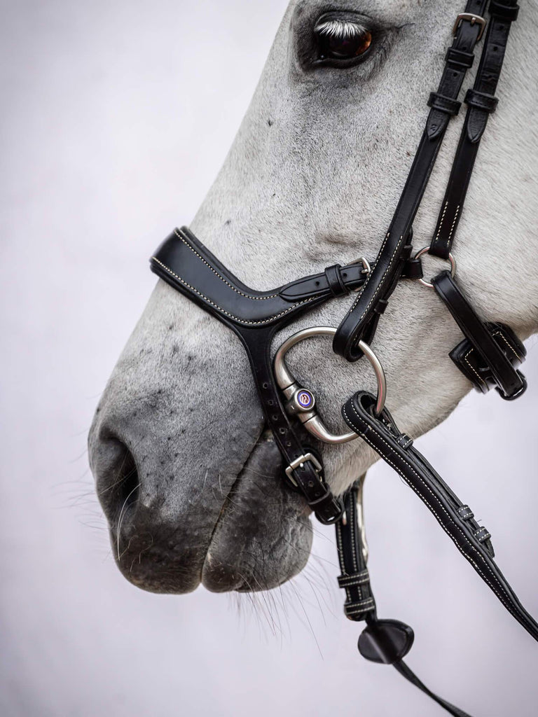 PS of Sweden Pioneer Bridle