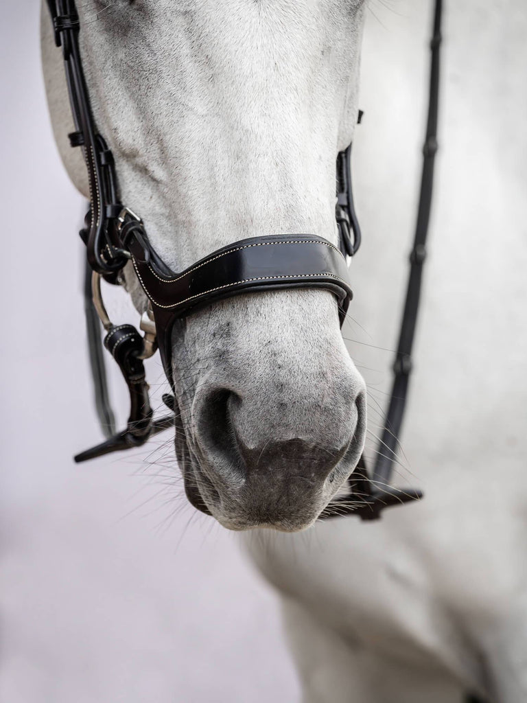 PS of Sweden Pioneer Bridle