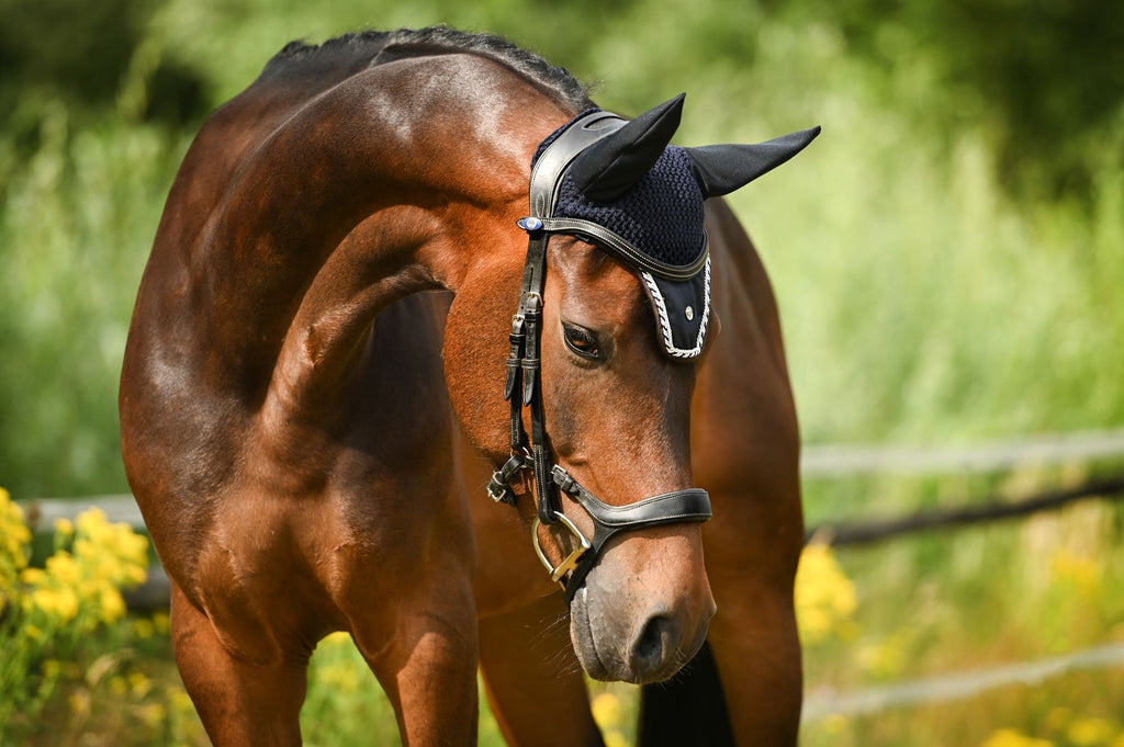 PS of Sweden Pioneer Bridle