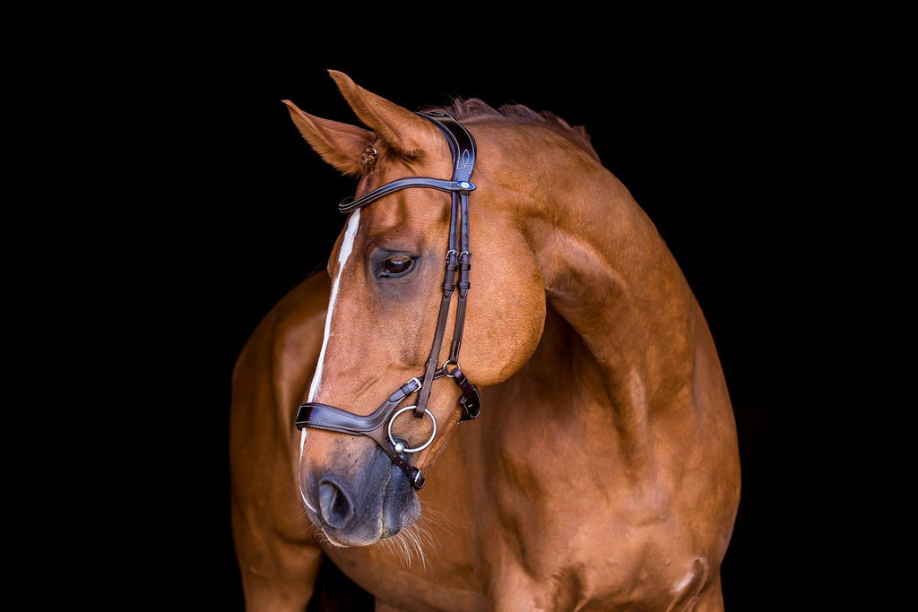 PS of Sweden Pioneer Bridle