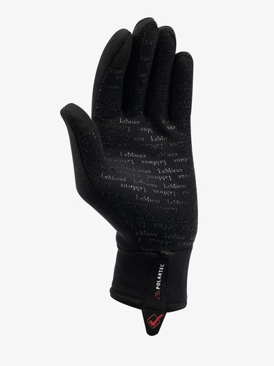 PolarTec Glove