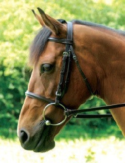 Race Bridle Full Grain Leather by Breeze Up
