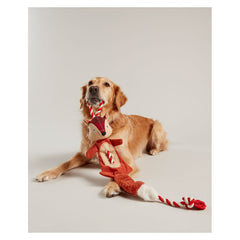 Joules Rope Heritage Tweed Fox Toy