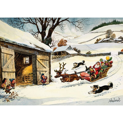 Thelwell Christmas Greeting Cards