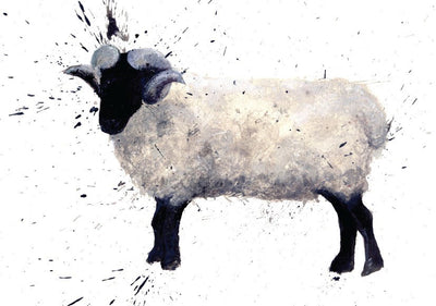 Clare Brownlow