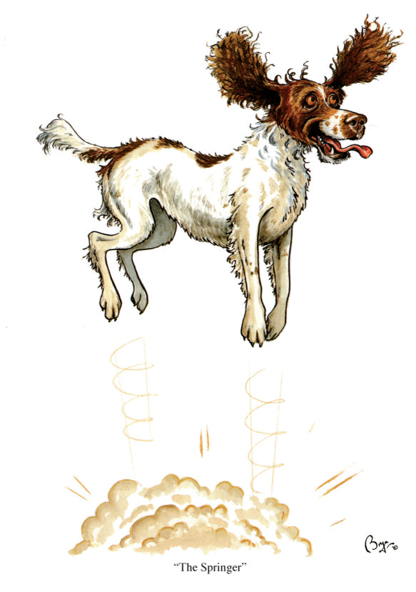 Dog Greeting Cards - Bryn Parry