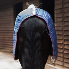 Gallop Trojan 50g Stable Rug