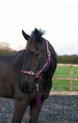 Cameo Supreme Headcollar & Leadrope