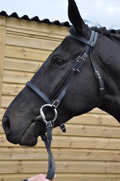 Synthetic Reins & Bridles