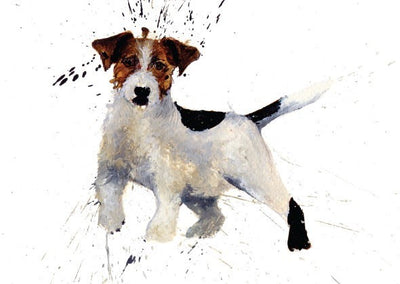 Clare Brownlow