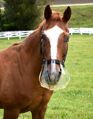 How to Introduce and Use a Grazing Muzzle for Horses – The Horse How to Introduce and Use a Grazing Muzzle for Horses – The Horse