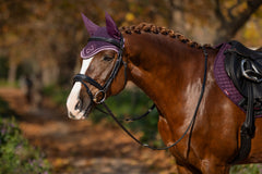 LeMieux Classic Fly Hoods - Seasonal Collections