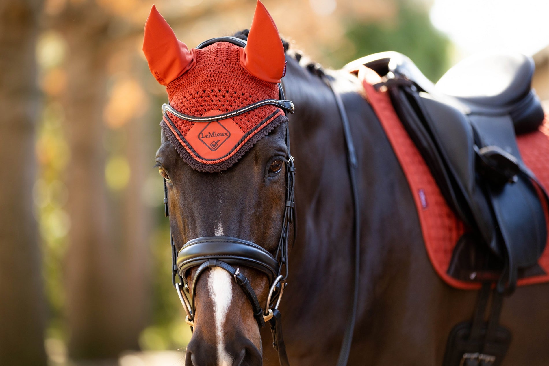 LeMieux Classic Fly Hoods - Seasonal Collections
