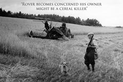 Vintage Humour Greeting Cards