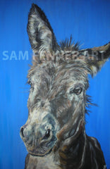 Limited Edition Print