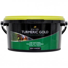 Turmeric Gold 1kg tub