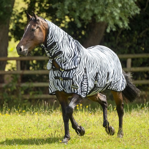 Zebra Fly Rug Combo by Gallop image #