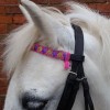 Velvet Pony Browband: Pink and Purple Velvet with Glitter Gold (not velvet)