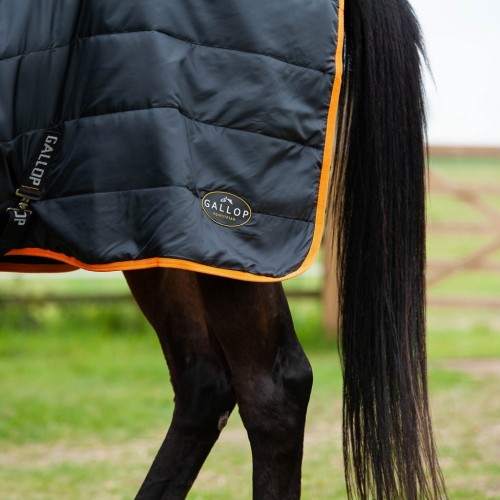 Gallop Trojan 100g Stable Rug image #