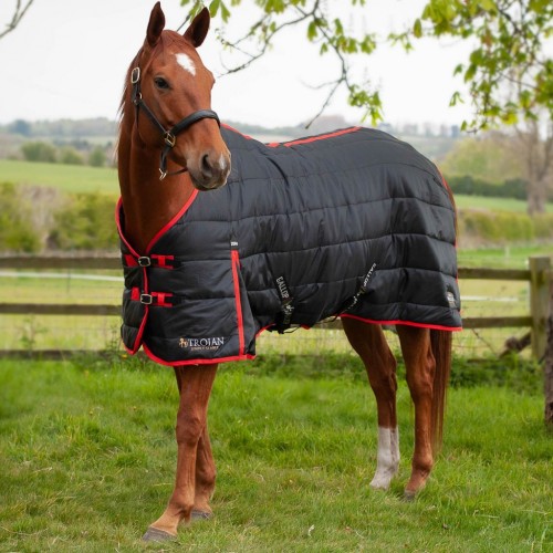 Trojan 200 Stable Rug by Gallop image #