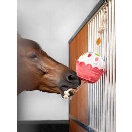 LeMieux Horse Toy - Cupcake