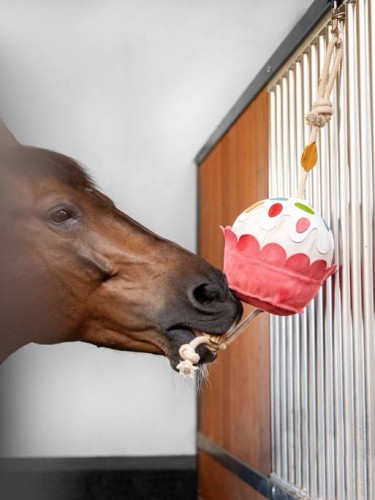 LeMieux Horse Toy - Cupcake image #
