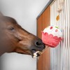 LeMieux Horse Toy - Cupcake image #