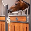 LeMieux Horse Toy - Banana image #
