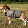 Techniche Cooling Dog Coat