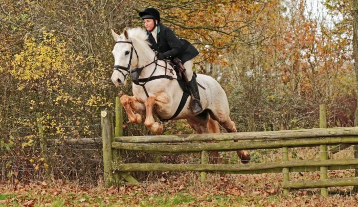 The Winter Softshell breeches in action!