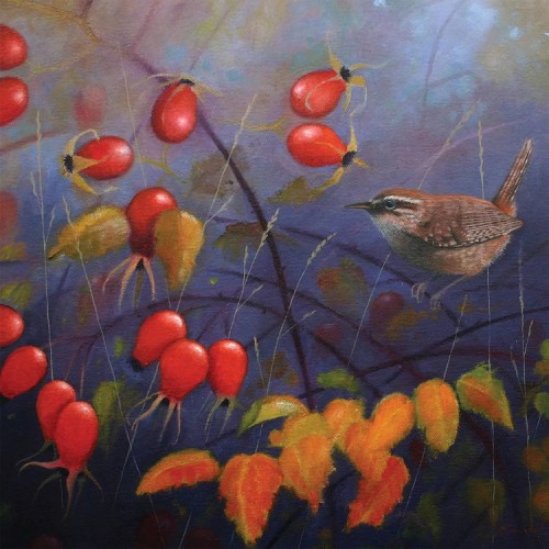Bird Greeting Card - Autumn Wren image #