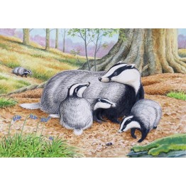 Wildlife Greeting Card - Badgers by David Thelwell