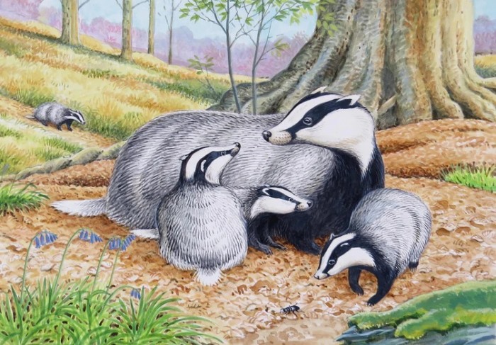Wildlife Greeting Card - Badgers by David Thelwell image #