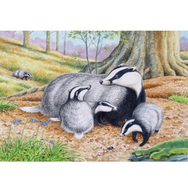 Wildlife Greeting Card - Badgers by David Thelwell