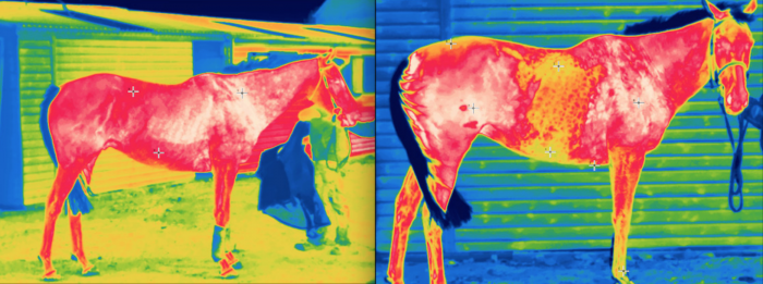 Aerochill thermographic images, yellow indicates cold areas on the before (left) and after 20 mins image (right)