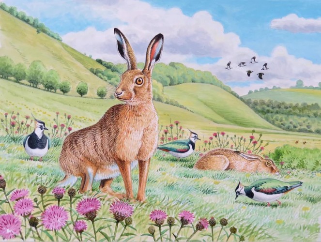 Wildlife Greeting Card - Brown Hare by David Thelwell image #