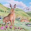 Wildlife Greeting Card - Brown Hare by David Thelwell image #