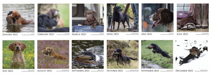 CSP Working Dogs Calendar 2022 image #