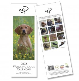 CSP Working Dogs Calendar 2022
