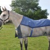Aerochill Rug for Horses image #